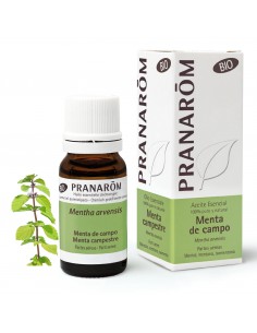 Pranarom Top Bio Aceite Esencial Menta del Campo 10 ml